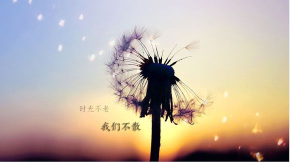 免費：歷史久遠(yuǎn)導(dǎo)致后臺按鈕無反應(yīng)管理不了資料的老客戶，請聯(lián)系我們！